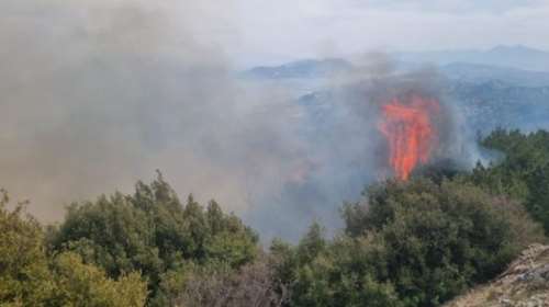 Φωτιά σε αγροτική έκταση στο Φίχτι Αργολίδας