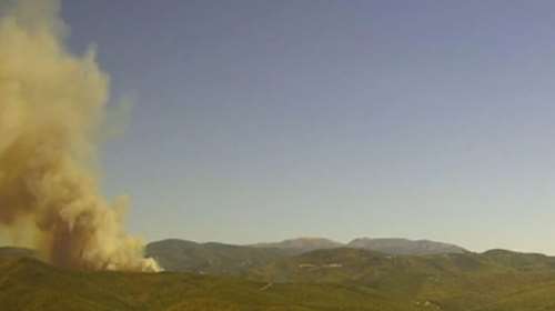 Φωτιά στα Φάρσαλα: Καίει δασική έκταση στο Τσικράκι - Επιτόπου επίγειες και εναέριες δυνάμεις