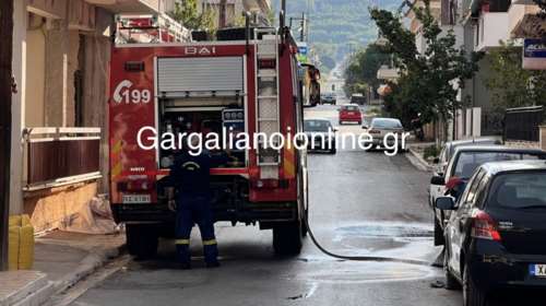 Φιλιατρά: Φρικτός θάνατος νεαρού σε τροχαίο - Προσέκρουσε σε μπετονιέρα