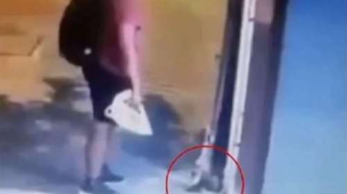 Αποκάλυψη: Διδάκτωρ του ΑΠΘ είναι ο άντρας που έλιωσε με το πόδι του το γατάκι στη Θεσσαλονίκη