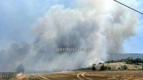 Συναγερμός στο Καπαρέλι Βοιωτίας: Ξέσπασε φωτιά στην είσοδο του χωριού - Ισχυροί οι άνεμοι