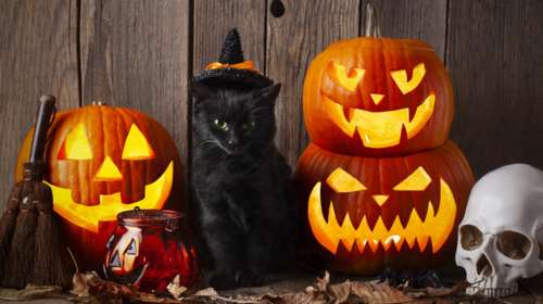 Halloween: H ιστορία της πιο τρομακτικής γιορτής και το έθιμο της κολοκύθας - Πώς και πότε ξεκίνησε