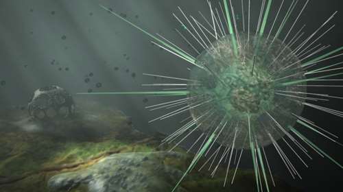 Συναγερμός στο Τέξας: Πέθανε 6χρονος από αμοιβάδα που τρώει τον εγκέφαλο