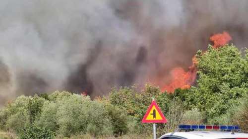 Μεγάλη φωτιά στη Μεγαλόπολη: Συναγερμός στην Πυροσβεστική -  Μήνυμα του &quot;112&quot; καλεί σε ετοιμότητα τους κατοίκους [Εικόνες]