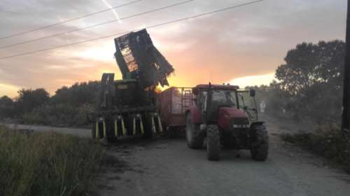 Τραγωδία στον Έβρο: 53χρονος έπαθε ηλεκτροπληξία ενώ μάζευε βαμβάκι - Σε κρίσιμη κατάσταση 17χρονος που πήγε να τον σώσει