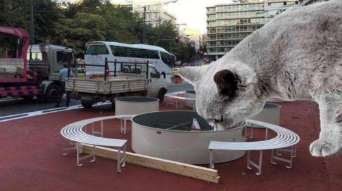 Πάρτι στο twitter με τις ζαρντινιέρες και τα παγκάκια στο Σύνταγμα