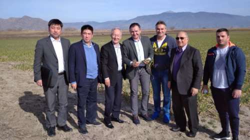 eNtopio: Το περίφημο σκόρδο της Λάρισας που ξετρέλανε τον ιαπωνικό κολοσσό &quot;Wakunaga&quot; - Μια ποικιλία με 200 χρόνια ζωής