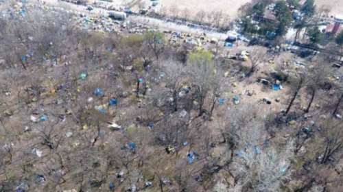 Τεράστια οικολογική καταστροφή στον Έβρο από την τουρκική πλευρά: Αποψίλωσαν τα πάντα [εικόνες - βίντεο]