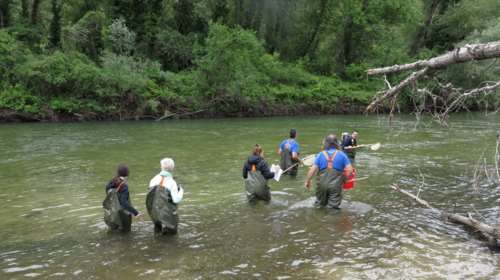Διεθνές Πανεπιστήμιο της Ελλάδος: Απόλυτα καθαρός από υδρογονάνθρακες ο υγροβιότοπος του Νέστου