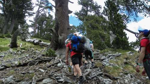 Γερμανός ορειβάτης έχασε τη ζωή του στον Όλυμπο - Επιχείρηση για τον εντοπισμό γυναίκας που έχει τραυματιστεί