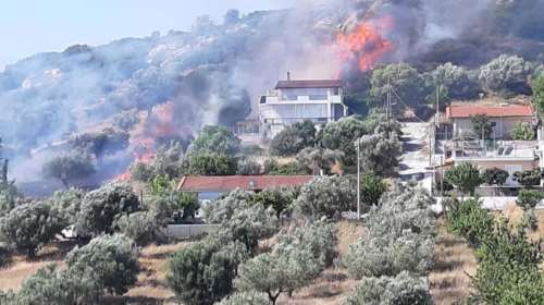 Πυρκαγιά στα Σπάτα - Επιχειρούν ισχυρές πυροσβεστικές δυνάμεις [εικόνες-βίντεο]