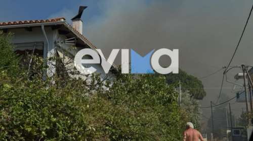 Εύβοια: Φωτιά στον Αλμυροπόταμο κοντά σε σπίτια - Εστάλη 112 [βίντεο]
