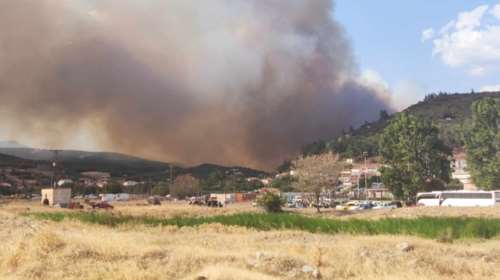 Πύργος: Πυρκαγιά σε δύσβατο σημείο στη Λάσδικα Αρχαίας Ολυμπίας
