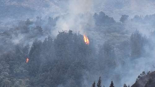 Χανιά: Φωτιά σε δάσος στον Αποκόρωνα - Μήνυμα του 112 στους κατοίκους - &quot;Παραμείνετε σε ετοιμότητα&quot;