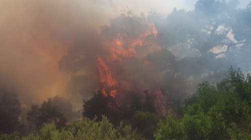 Φωτιά στον Έβρο: Νέο μήνυμα &quot;112&quot; για εκκένωση της Λεπτοκαρυάς λόγω αναζωπύρωσης [βίντεο]
