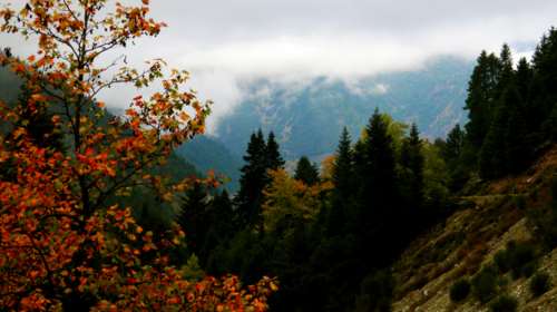 Κορονοϊός: Στα ύψη η θετικότητα σε Ευρυτανία με 5,03% και Κάρπαθο με 4,69%  - Ποιο νησί δεν είχε κανένα κρούσμα