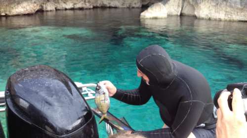 Νέα απάντηση Πολάκη σε Αχτσιόγλου: &quot;Δεν τσιμπάω, ματαιοπονείς&quot; - &quot;Γεια σου Παυλάρα με τους σαργούς σου&quot;, γράφουν οι φαν του