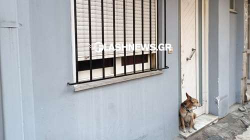 Άγριο έγκλημα στα Χανιά: Τον έδεσαν, τον φίμωσαν και τον σκότωσαν - Στην πόρτα παραμένει το σκυλάκι του [εικόνες]