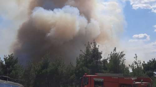 Αλεξανδρούπολη: Πυρκαγιά στην περιοχή του φράγματος Λύρας στο Σουφλί - Στη μάχη 4 αεροσκάφη και 2 ελικόπτερα [Βίντεο]