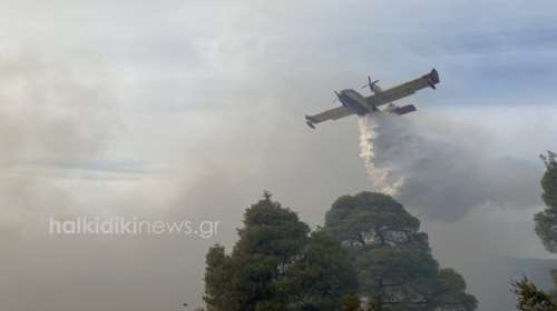 Φωτιά στη Σιθωνία Χαλκιδικής: Ενισχύθηκαν οι δυνάμεις της Πυροσβεστικής - &quot;Διώξανε τους εποχικούς&quot; είπε οργισμένος ο δήμαρχος