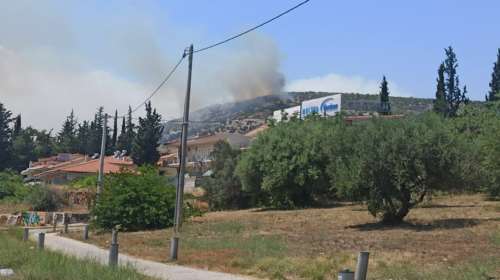 Διπλή φωτιά στο Δαφνί: Συναγερμός γιατί η περιοχή έχει πολλούς πυλώνες της ΔΕΗ [εικόνες]