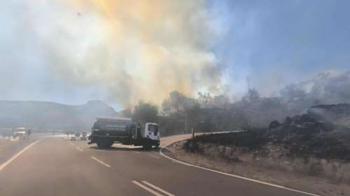 Νέα φωτιά στη Λέσβο: Μέτωπο πάνω από τη Μονή Λειμώνος - Επιχειρούν ισχυρές δυνάμεις της Πυροσβεστικής