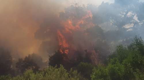 Έβρος: Ολονύκτια μάχη με τις φλόγες - Επέστρεψαν οι κάτοικοι στη  Λευκίμμη - Φτιάχνονται αντιπυρικές ζώνες [Εικόνες - Βίντεο]