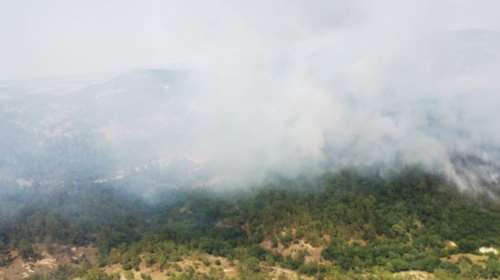 Φωτιά στο δάσος της Δαδιάς: Νύχτα θρίλερ με συνεχείς αναζωπυρώσεις - Συγκλονιστικές εικόνες από τα ελικόπτερα