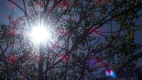 Καιρός: Ανεβαίνει ξανά η θερμοκρασία - Σε ποιες περιοχές θα φτάσει τους 32 βαθμούς