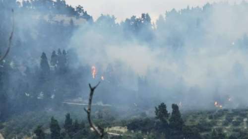 Φωτιά στη Χαλκιδική: Βελτιωμένη η εικόνα στα μέτωπα - Ισχυρές δυνάμεις της πυροσβεστικής