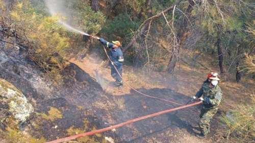 Φωτιά στη Δαδιά: Οι φλόγες κινούνται προς παρθένο δάσος - Δύσκολη η προσέγγιση, απότομες οι αλλαγές των ανέμων [εικόνες]