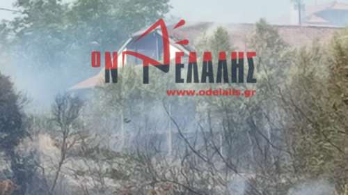 Μεγάλη φωτιά στην Πλάκα Λιτοχώρου: Μήνυμα 112 για εκκένωση - Ακινητοποιήθηκαν τρένα - Στις φλόγες ένα εξοχικό