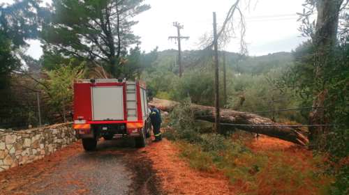 Στο έλεος της κακοκαιρίας η Κέρκυρα: Κλειστά σχολεία, διακοπές ρεύματος και πτώσεις δέντρων [Βίντεο]