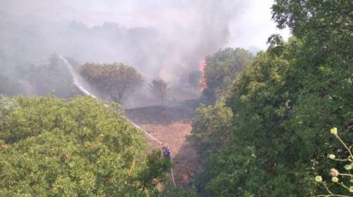 Χίος: Σε ύφεση η φωτιά στη Χίο- Στη περιοχή του hotspot της ΒΙΑΛ