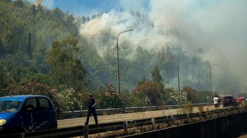 Φωτιά στην Ηλεία: Μία σύλληψη για απόπειρα εμπρησμού - Πώς σώθηκε η Αρχαία Ολυμπία