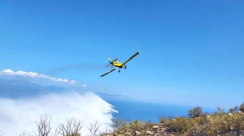Μεσσηνία: Φωτιά στην περιοχή του Χαρακοπιού - Προσπάθεια να οριοθετηθεί