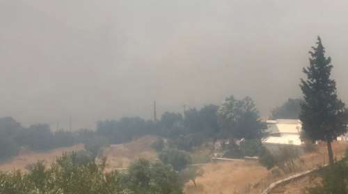 Μεγάλη φωτιά στην Κρύα Βρύση Ρεθύμνου: Ενισχύονται οι δυνάμεις - Μάχη με τις φλόγες και τον ισχυρό άνεμο [Εικόνες]