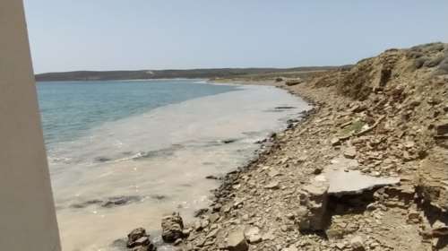 Συναγερμός στη Λήμνο για τη θαλάσσια βλέννα: Μεταβαίνει κλιμάκιο του υπ. Περιβάλλοντος - Τι λένε οι επιστήμονες [Εικόνες]