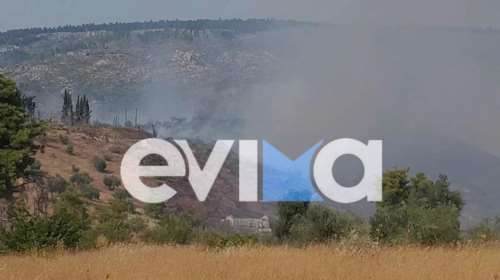 Νέα φωτιά στην Εύβοια: Καίγεται δασική έκταση στο Κοντοδεσπότι - Σηκώθηκαν εναέρια μέσα