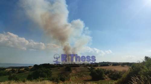 Φωτιά στην Άσσηρο Θεσσαλονίκης: Έφθασε στην παλιά εθνική οδό - Ενισχύθηκαν οι Πυροσβεστικές δυνάμεις