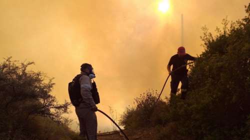 Πυρκαγιά σε δασική έκταση στο Καλαμάκι Ζακύνθου - Στη μάχη εναέρια μέσα πριν πέσει η νύχτα [Εικόνες-Βίντεο]