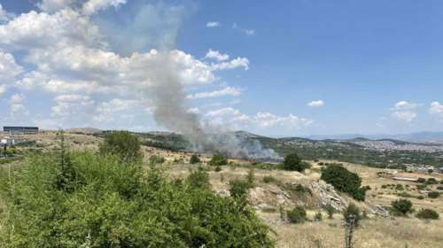 Κοζάνη: Φυλάκιση 10 μηνών και πρόστιμο 4.830 ευρώ στον 75χρονο που συνελήφθη για τη φωτιά στο Δρέπανο