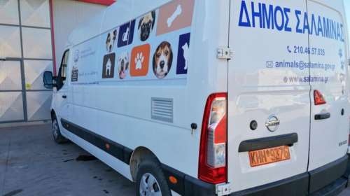 Ο δήμος Σαλαμίνας απέκτησε ασθενοφόρο για τα αδέσποτα ζώα συντροφιάς - Με παρέμβαση Μαξίμου