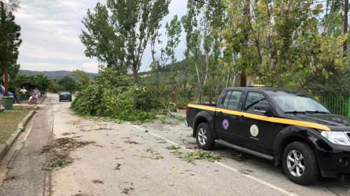 Τρίκαλα: Ξηλώθηκαν στέγες και έπεσαν δέντρα από την ξαφνική κακοκαιρία στο Ρίζωμα [Βίντεο]
