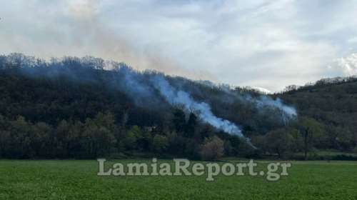 Φθιώτιδα: Υπό έλεγχο και οι έξι φωτιές – Οι πέντε σε δασική έκταση