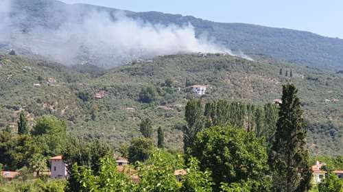 Φωτιά στο Πήλιο: Επιτόπου επίγειες και εναέριες δυνάμεις στη μάχη με τις φλόγες