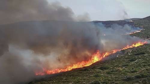 Συγκλονίζει το βίντεο για την φωτιά στην Άνδρο: &quot;Θα βάλω αναγκαστικά φωτιά...&quot; - Δήλωση σοκ από πρόεδρο του νησιού