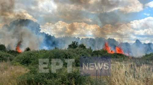 Φωτιά στην Καστοριά: Πυρκαγιά σε φωτοβολταϊκό πάρκο έξω από το χωριό Μεσοποταμία [εικόνες]