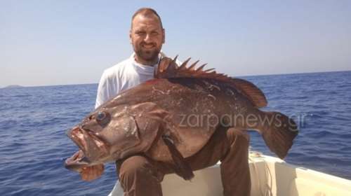 Χανιά: Έπιασαν τεράστιο ψάρι 1,5 μέτρου και 42 κιλών ανοιχτά της Γραμβούσας