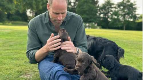 Ο πρίγκιπας Ουίλιαμ γιόρτασε τα γενέθλια του αγκαλιά με τα κουτάβια του - Η τρυφερή φωτογραφία με την Ορλα και τα μωρά